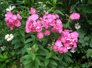 P5026134