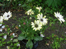 P5056146