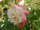 P5056149