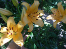 P5086157