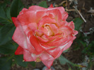 027