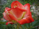 028