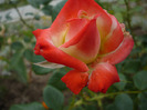 029