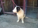 Picture 326