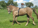 ARMASAR LIPITAN