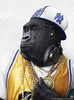 HipHop Monkey