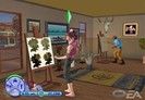 pg (67)