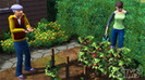 sims3