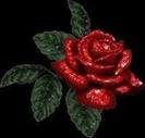 trandafirul iubirii