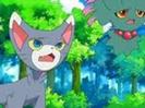 Glameow:E..e..eu?....bine....