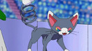 Glameow:WoW Asta chiar a fost super!:>:>