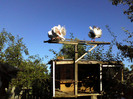 P21-06-11_19.14[5]