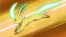 (Leaf Blabe e gata de atac)