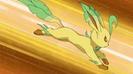 (Leafeon se pregateste pentru aterizare)