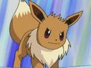 Eevee:Eevee!