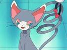 Glameow:Chiar si mie mi-a placut!