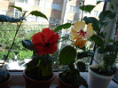 DSC09476