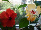 DSC09477