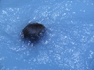 BILD0257