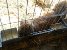 DSCN1494