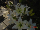 Picture 1846