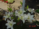 Picture 1847