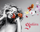 Shakira,_Blowing_Flowers_Artwork