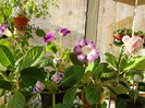 DSC03182