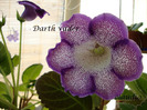 DSC03186
