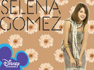 WoWP-wizards-of-waverly-place-9840184-1024-768