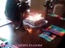MileyWorld - Happy birthday Billy! 102