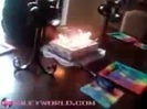 MileyWorld - Happy birthday Billy! 103