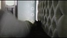 bscap0052