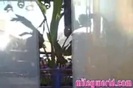 MileyWorld - Warming Up! 173