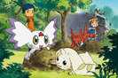 Digimon_Tamers_500