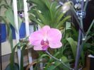 DSCN8463