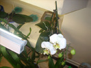 DSCN8439