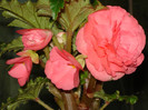 DSC03480