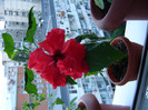 DSC03502