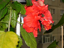 DSC03503
