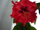 DSC03513