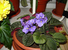 DSC03517