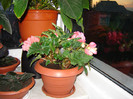 DSC03518
