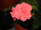 DSC03519