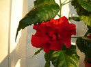 DSC03522