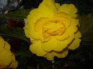 DSC03549