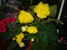 DSC03550