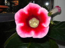 DSC03551