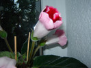 DSC03565