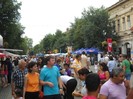 ...........lume  pestrita......